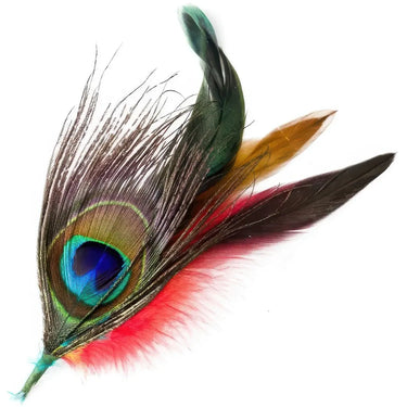 Plume Paon Chapeau Cowboy
